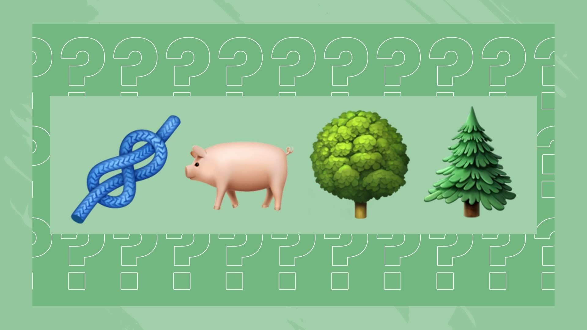 提升自身竞 提升自身竞