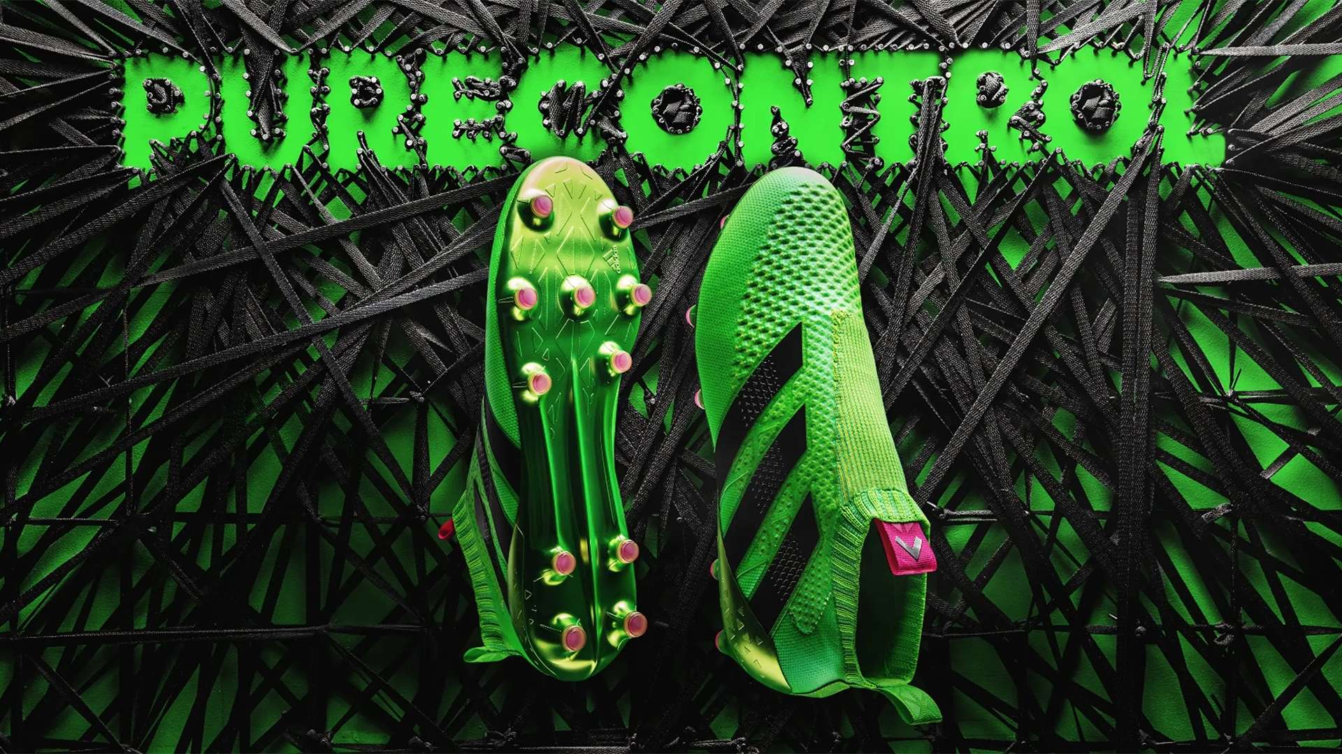 这些项目不 这些项目不